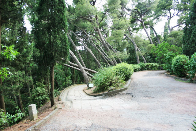 Карасанський парк